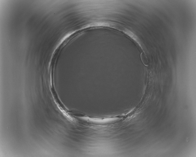 X0000066011127200603171459