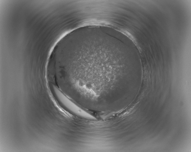 X0000066011128200603171459