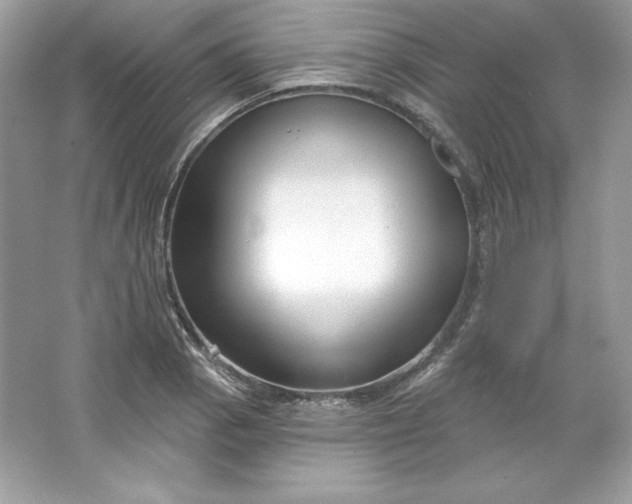 X0000066011129200603171459