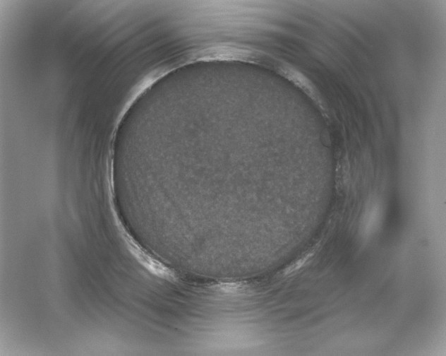 X0000066011130200603171459