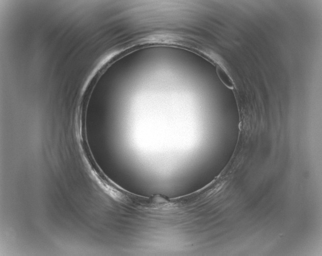 X0000066011131200603171459