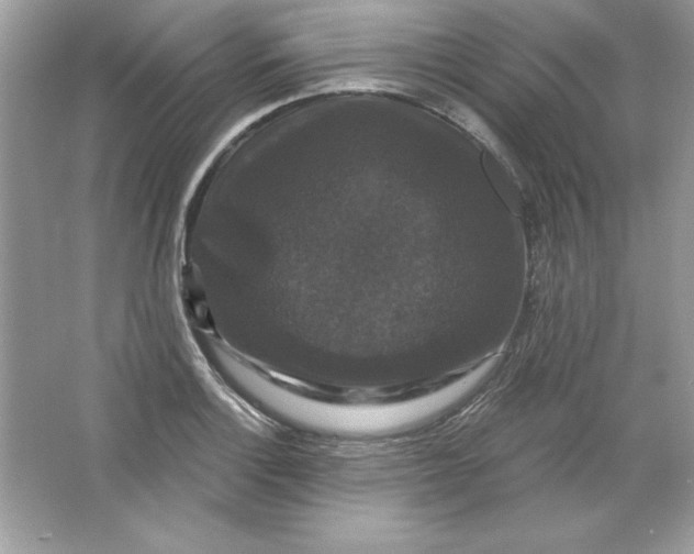 X0000066011132200603171459