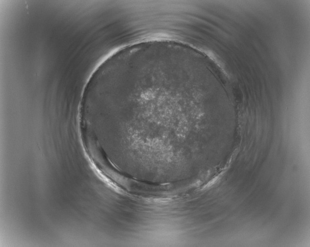 X0000066011134200603171459