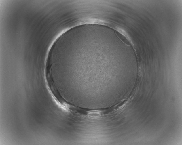 X0000066011136200603171459