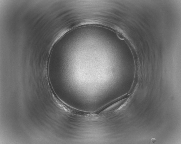 X0000066011137200603171459