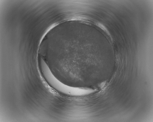 X0000066011138200603171459