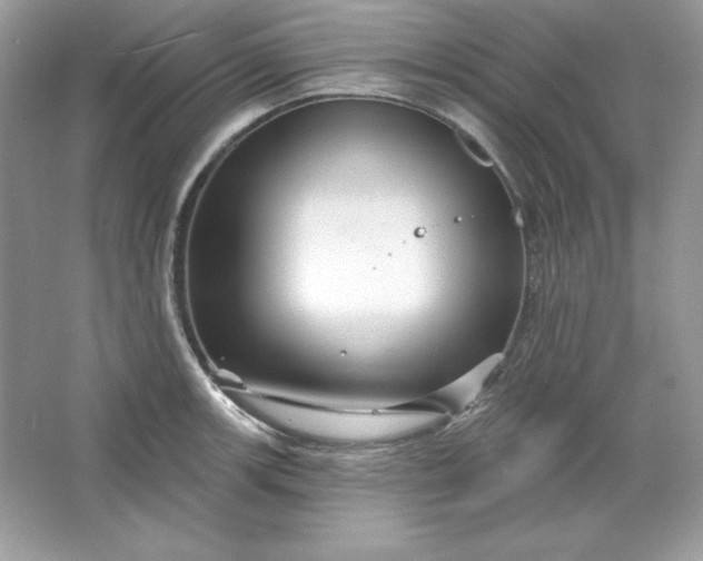 X0000066011139200603171459