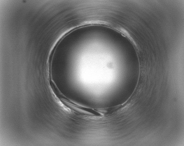 X0000066011140200603171459