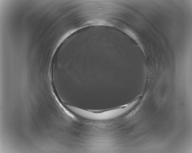 X0000066011141200603171459