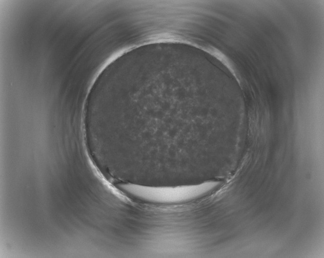 X0000066011142200603171459