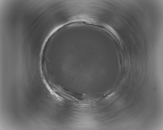 X0000066011144200603171459