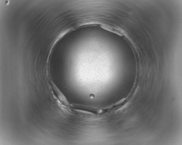 X0000066011145200603171459