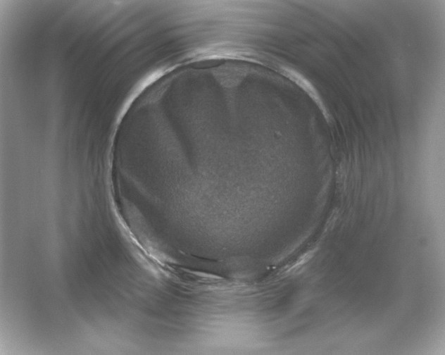 X0000066011146200603171459