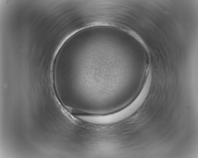 X0000066011148200603171459