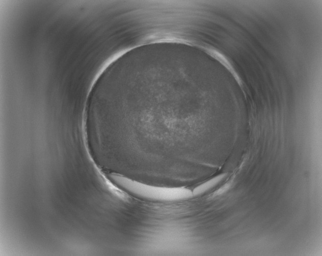 X0000066011149200603171459