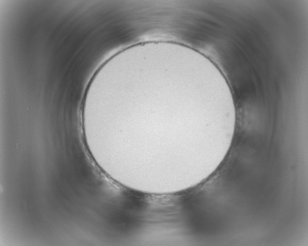 X0000066011150200603171459