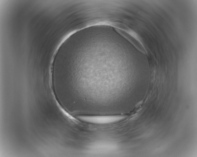 X0000066011151200603171459