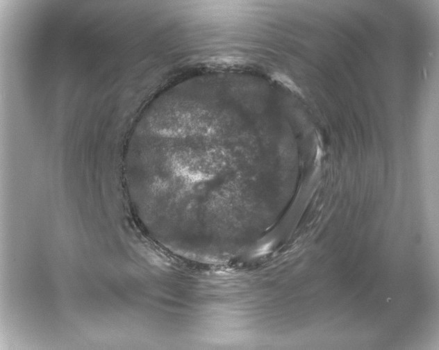 X0000066011153200603171458