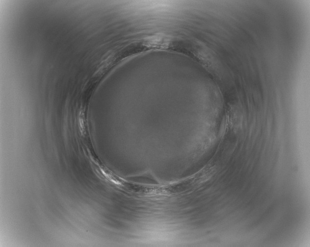 X0000066011154200603171458