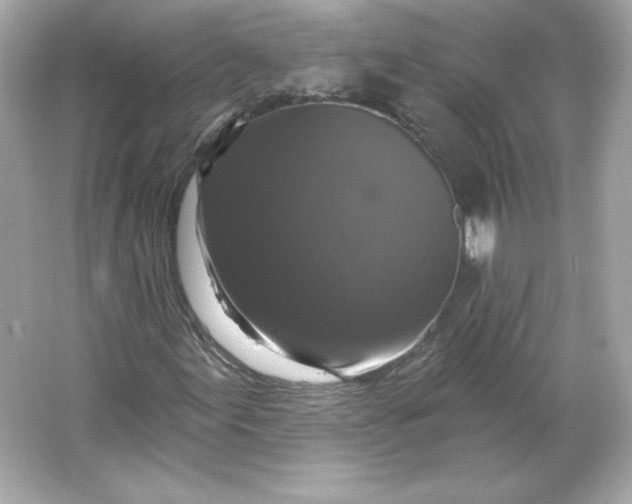 X0000066011155200603171458