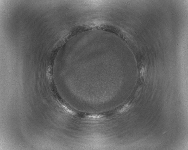 X0000066011156200603171458