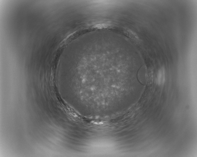 X0000066011158200603171458