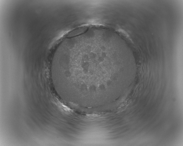 X0000066011159200603171458