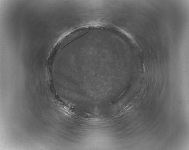 X0000066011160200603171458