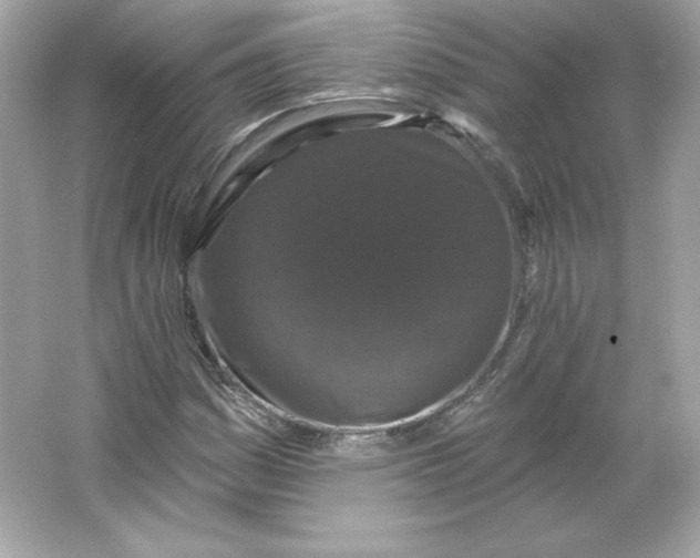 X0000066011161200603171458