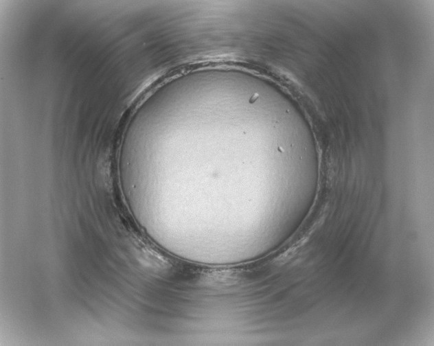 X0000066011162200603171458