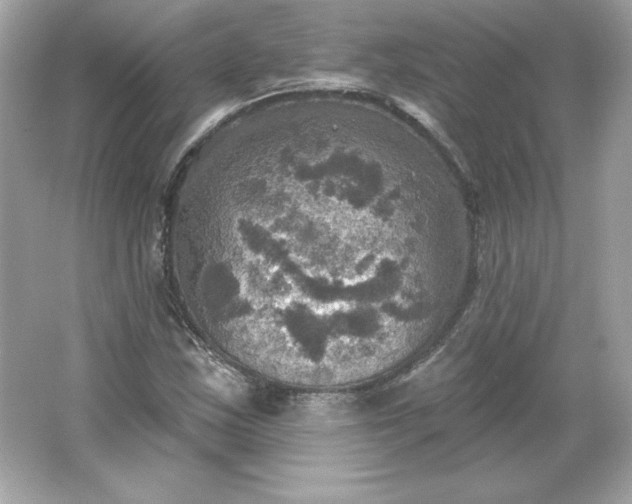 X0000066011163200603171458