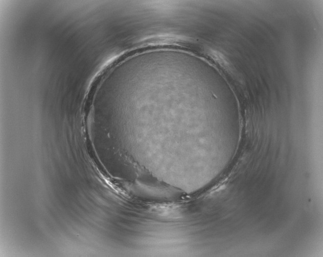 X0000066011164200603171458