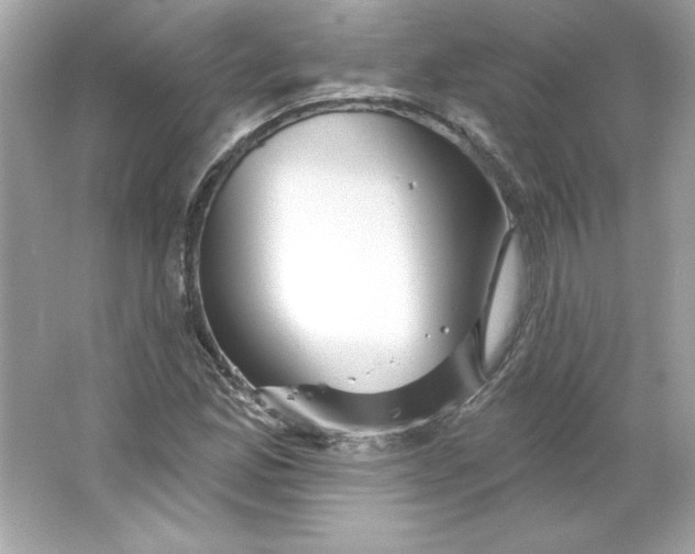 X0000066011165200603171458