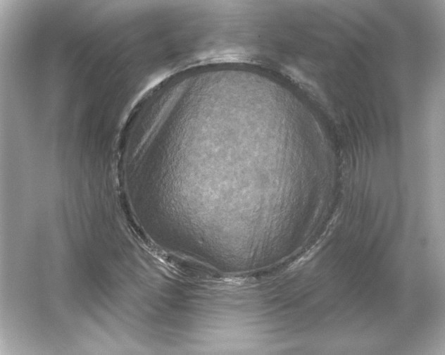 X0000066011166200603171458