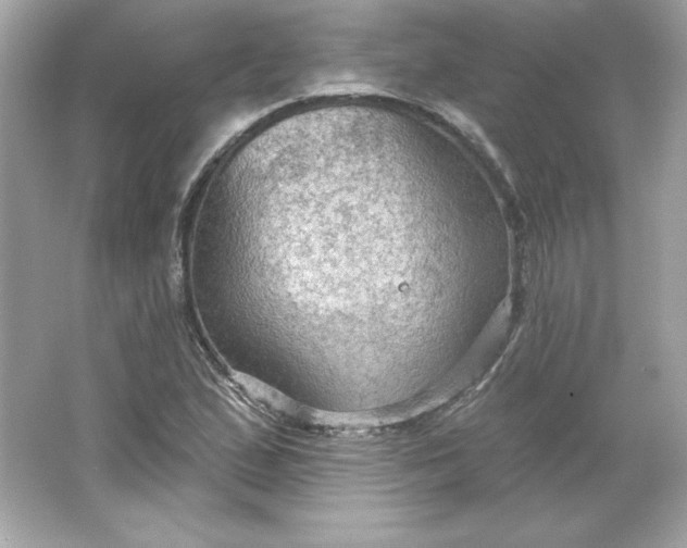 X0000066011167200603171458