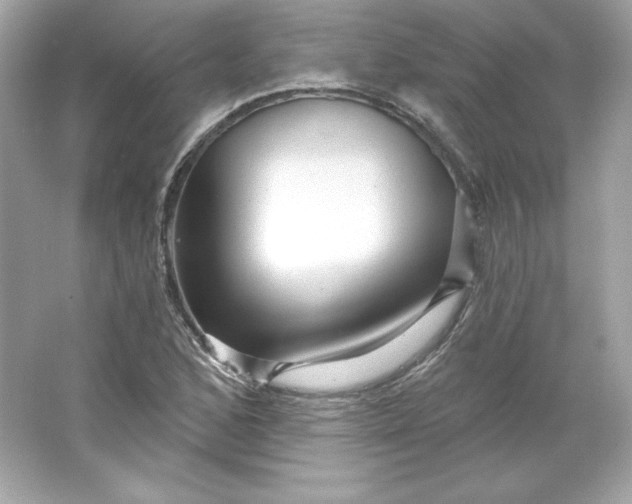 X0000066011168200603171458