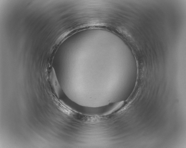 X0000066011169200603171458