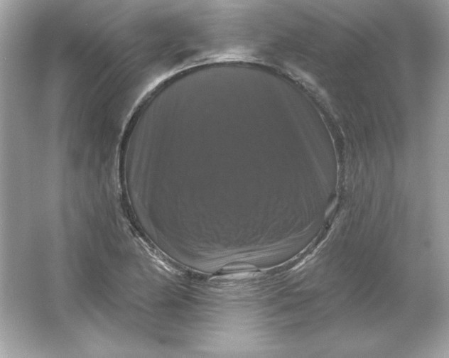 X0000066011174200603171458