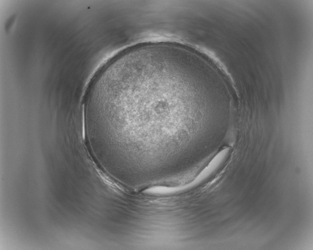 X0000066011175200603171458