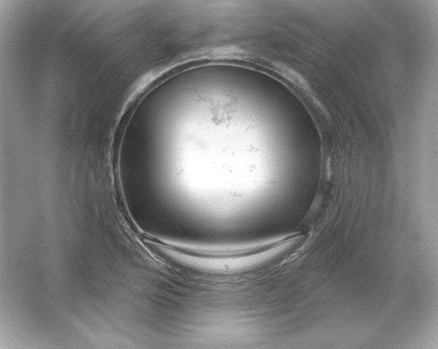 X0000066011176200603171458