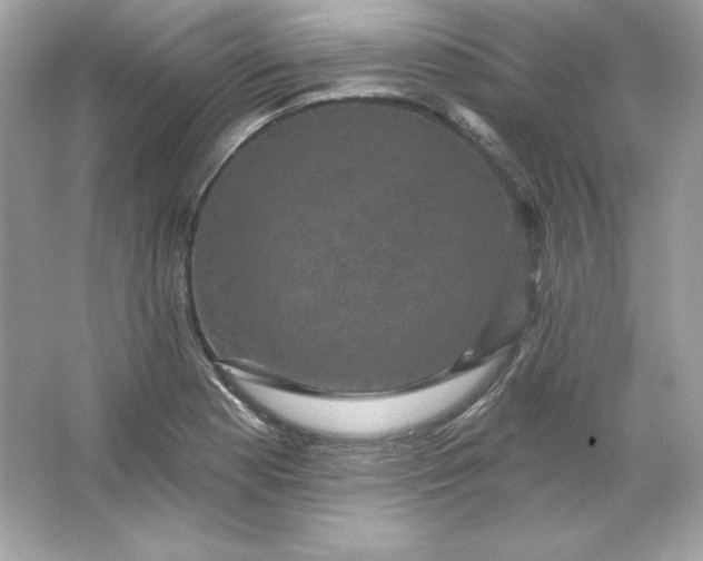 X0000066011177200603171458