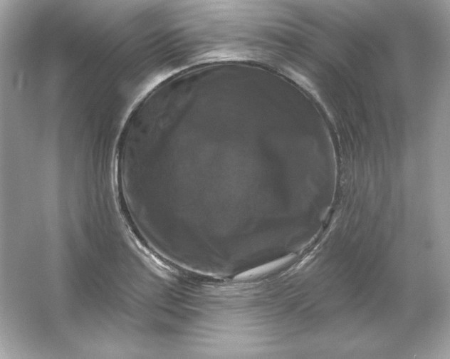 X0000066011179200603171458