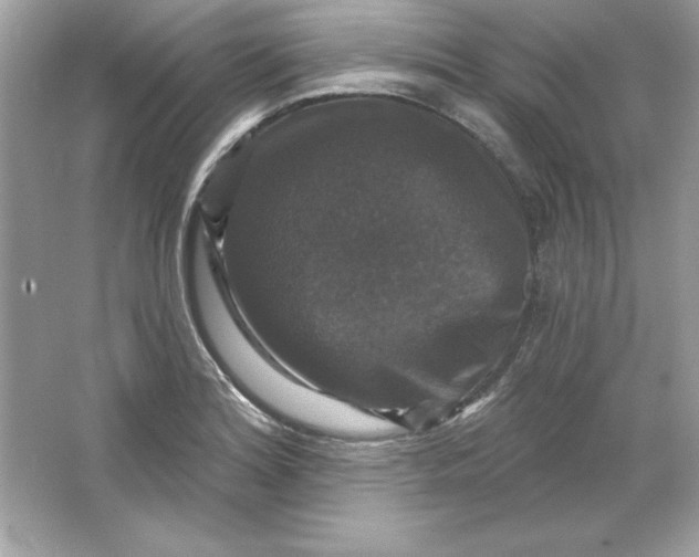 X0000066011180200603171458