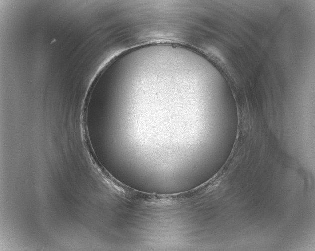 X0000066011182200603171458