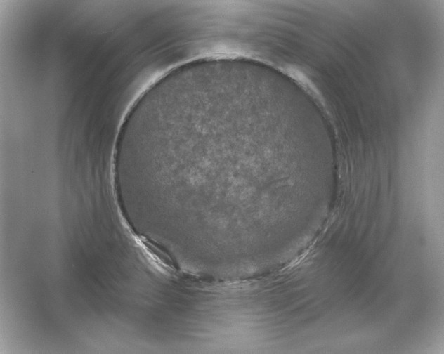 X0000066011183200603171458