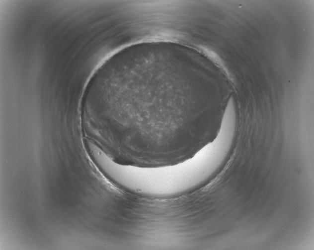 X0000066011184200603171458