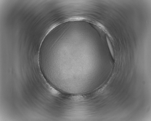 X0000066011186200603171458