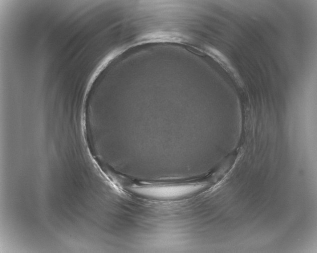 X0000066011188200603171458