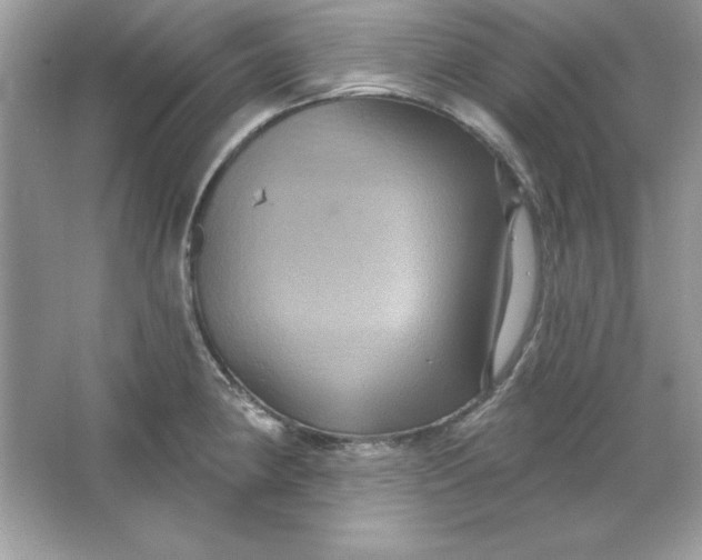 X0000066011190200603171458