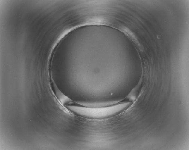 X0000066011192200603171458